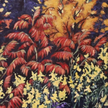 A Profusion of Colour