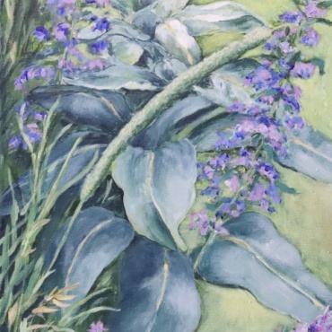 Mullein and Viper’s Bugloss