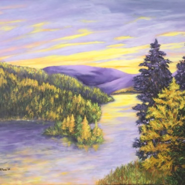 Larches in Algonquin Park