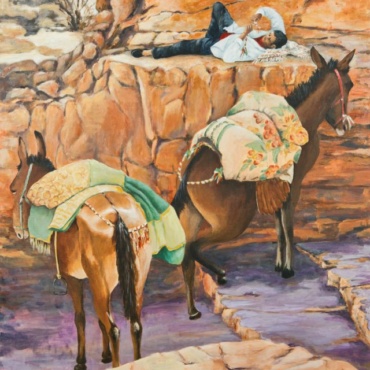 Donkey's at Petra, Jordan