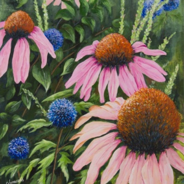 Cone Flowers